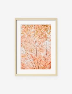 Pastel Fall Tree Photography Print By Ingrid Beddoes