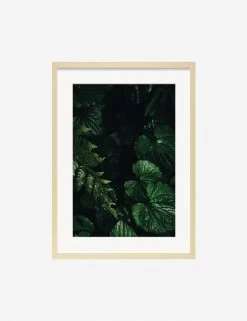 Still Life 14 Photography Print By Ashley Johnson 9 Still Life 14 Photography Print By Ashley Johnson -Furniture Store JohnsonStillLIfepack7 14Naturalframe
