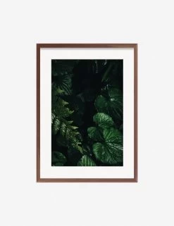 Still Life 14 Photography Print By Ashley Johnson 10 Still Life 14 Photography Print By Ashley Johnson -Furniture Store JohnsonStillLIfepack7 14Walnutframe