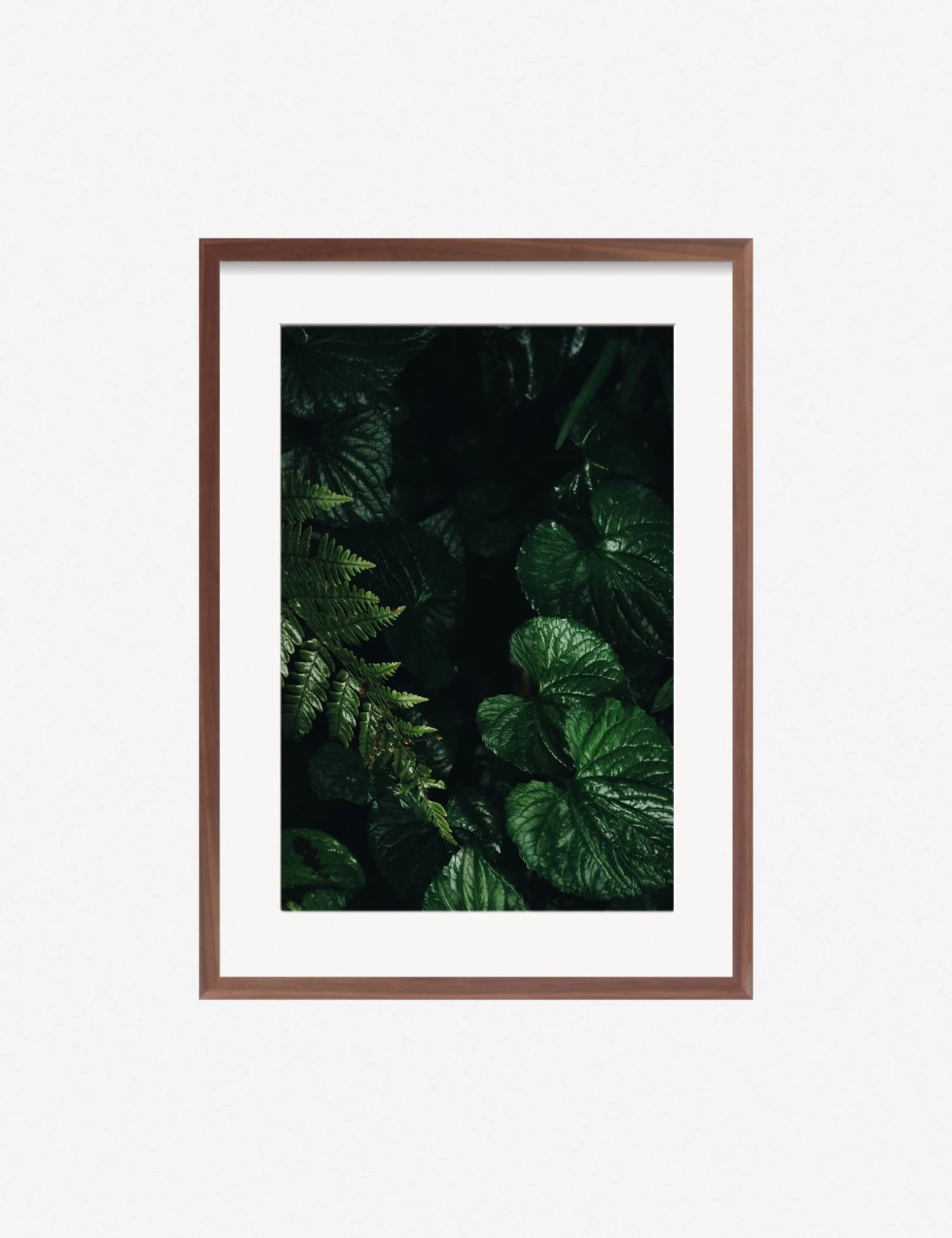 Still Life 14 Photography Print By Ashley Johnson 4 Still Life 14 Photography Print By Ashley Johnson - Image 4