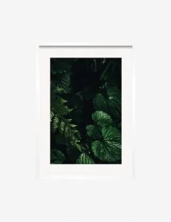 Still Life 14 Photography Print By Ashley Johnson 11 Still Life 14 Photography Print By Ashley Johnson -Furniture Store JohnsonStillLIfepack7 14Whiteframe