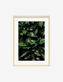 Still Life 7 Photography Print By Ashley Johnson -Furniture Store JohnsonStillLifePack7 7naturalframe