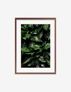Still Life 7 Photography Print By Ashley Johnson -Furniture Store JohnsonStillLifePack7 7walnutframe