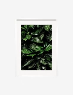 Still Life 7 Photography Print By Ashley Johnson -Furniture Store JohnsonStillLifePack7 7whiteframe