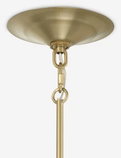 Cannon Pendant Light -Furniture Store L090 0036 6 PRODUCT