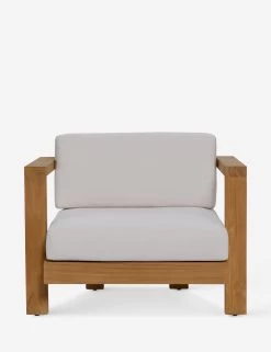 Landry Indoor / Outdoor Accent Chair