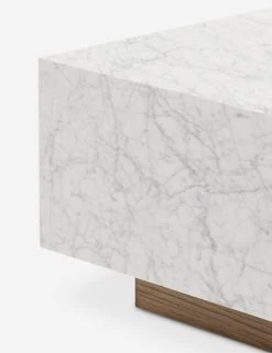 Janus Coffee Table -Furniture Store Lulu And Georgia 241862 001 DET 4 Product