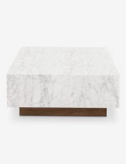 Janus Coffee Table -Furniture Store Lulu And Georgia 241862 001 SID 1 Product