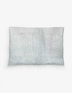 Berrien Shams (Set Of 2) -Furniture Store Lulu and Georgia 1002876 BACK01 Product