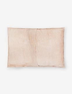 Berrien Shams (Set Of 2) -Furniture Store Lulu and Georgia 1002880 BACK01 Product