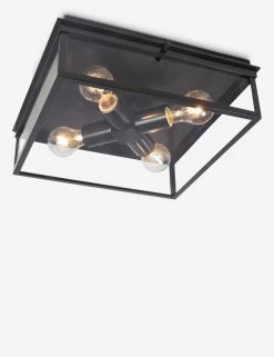 Sydney Outdoor Flush Mount Light By Regina Andrew