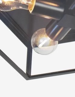 Sydney Outdoor Flush Mount Light By Regina Andrew -Furniture Store Lulu and Georgia 17 1011BLK 4 Product