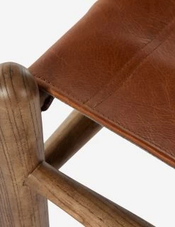 Radburn Stool -Furniture Store Lulu and Georgia 233257 002 DET 5 Product