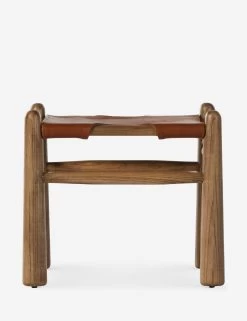 Radburn Stool -Furniture Store Lulu and Georgia 233257 002 SID 1 Product