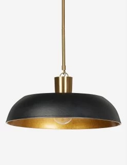 Robinson Pendant Light 23 Robinson Pendant Light -Furniture Store Lulu and Georgia 234896 002 DET 1 product