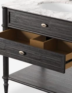 Delancey Bath Vanity -Furniture Store Lulu and Georgia 239880 006 DET 02 Product