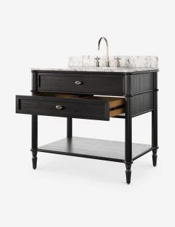 Delancey Bath Vanity -Furniture Store Lulu and Georgia 239880 006 DET 04 Product