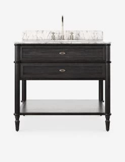 Delancey Bath Vanity -Furniture Store Lulu and Georgia 239880 006 FRT Product