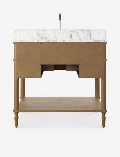 Delancey Bath Vanity -Furniture Store Lulu and Georgia 239880 007 BCK Product