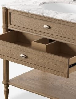 Delancey Bath Vanity -Furniture Store Lulu and Georgia 239880 007 DET 02 Product