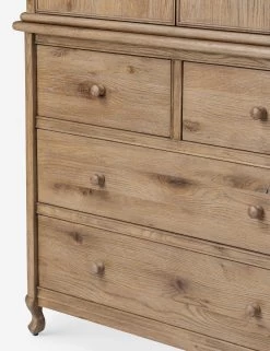 Caraway Cabinet -Furniture Store Lulu and Georgia 246656 001 DET 4 Product
