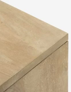 Hannah Wide Sideboard -Furniture Store Lulu and Georgia 247672 001 DET 3 Product