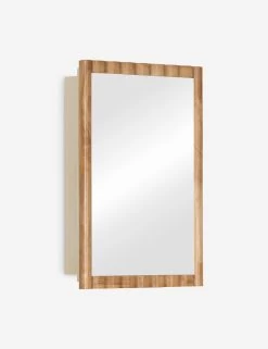 Brannic Medicine Cabinet -Furniture Store Lulu and Georgia 42415 2 Product