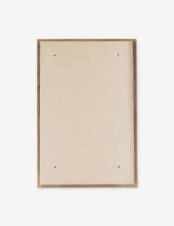 Brannic Medicine Cabinet -Furniture Store Lulu and Georgia 42415 3 Product