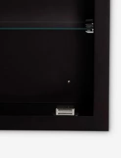 Haston Medicine Cabinet -Furniture Store Lulu and Georgia 42551 7 Product