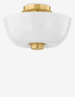 Lumiere Flush Mount Light