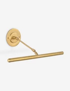 Emery Picture Light By Amber Lewis -Furniture Store Lulu and Georgia AL2731HAB Product