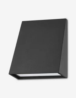 Aseem Outdoor Sconce