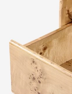 Boyan Nightstand -Furniture Store Lulu and Georgia BDM00228 5 product