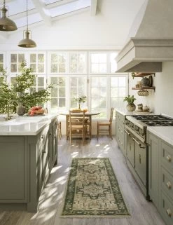 Isandro Hand-Knotted Wool Rug