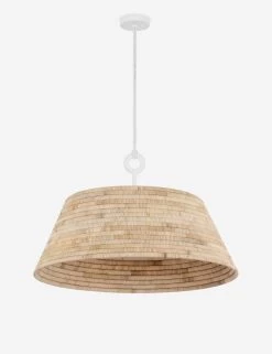 Farida Pendant Light -Furniture Store Lulu and Georgia F2836 GSW Product