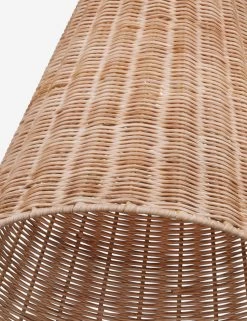 Piala Pendant Light -Furniture Store Lulu and Georgia FS CP1421BBS D2 Product