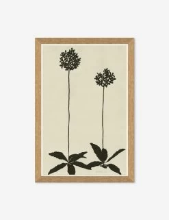Allium Wall Art By Susan Hable