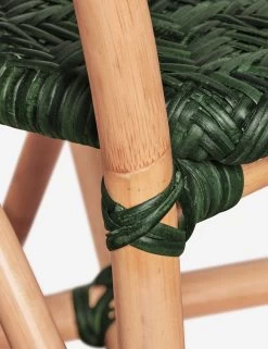 Sesina Dining Arm Chair -Furniture Store Lulu and Georgia PORAC GN 5 OW Product ff574274 8185 4023 a07a 5029260f56b5