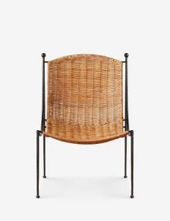 Bonnet Indoor / Outdoor Accent Chair