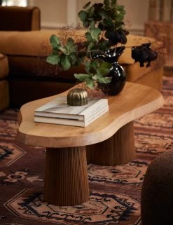 Cleeves Coffee Table -Furniture Store Lulu and Georgia 6 BallroomSectionalLivingRoom JME1038 LIFESTYLE
