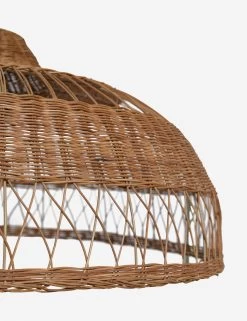 Ochoa Pendant Light -Furniture Store OchoaPendantLight A0655695 0517