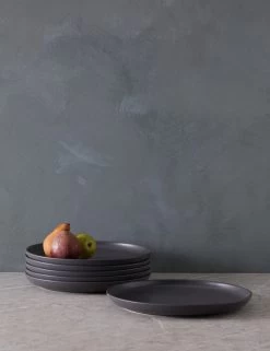 Pacifica Dinner Plates (Set Of 6) By Casafina -Furniture Store PacificaDinnerPlates Setof6 byCasafina SeedGray A06558281584