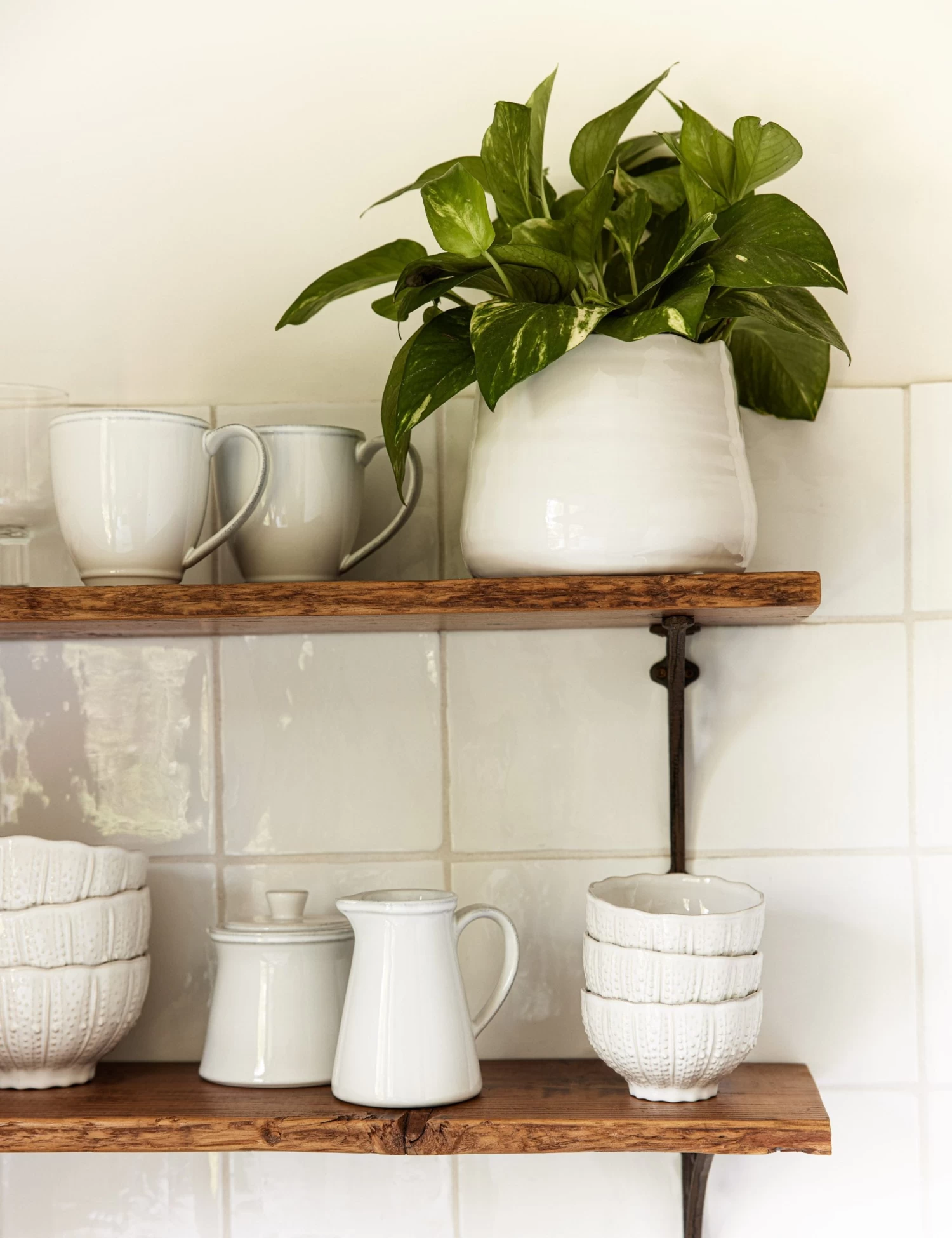 Aparte Cereal Bowl By Costa Nova 2 Aparte Cereal Bowl By Costa Nova - Image 2