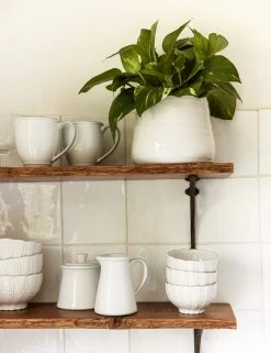 Friso Creamer, White By Costa Nova 6 Friso Creamer, White By Costa Nova -Furniture Store TabletopShelfHero 11922 SITECROP d11e9a42 1895 45f8 b4d2 324b53b56198