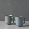 Nature Mugs (Set Of 2) By Thomas For Rosenthal