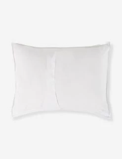 Darcy Sham -Furniture Store V250174 2