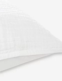 Darcy Sham -Furniture Store V250174 3