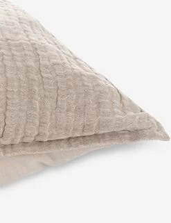 Darcy Sham -Furniture Store V250186 3