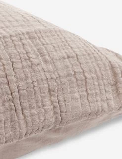 Darcy Sham -Furniture Store V250187 3