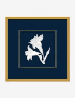 Moon Lilies 2 Wall Art